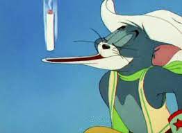 # snl # saturday night live # smoking # season 46 # cigarettes. Sign In Tom And Jerry Cartoon Tom And Jerry Pictures Tom And Jerry