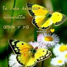 поздравления с 1 июня день защиты детей в прозе Pin De Marta C En Mariposas Frases Positivas Pensamientos Frases