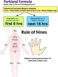 Rosh Review Pediatric Nursing Nursing School Survival Nursing School