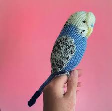 Birds That Start With B Parakeet Knitting Pattern Green And Blue Budgie Knitting Pattern Sparky And Coco Cute Budgerigar Parrot Knitting Patterns Knitting Kits Knitting Gift