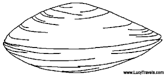 Select from premium giant clam shell of the highest quality. Clam Coloring Page Bmo Show