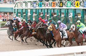 Horse racing analysis & daily picks | gulfstream park | nicoletti's analysis, jason's analysis, acacia's picks, pronosticos, power ranking, claudia's picks Gulfstream Park Picks Thursday 18th March 2021 Horseracing Net