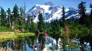 Home | jun 8, 6:35 pm. Top Hotels In Bellingham Wa From 55 Free Cancellation On Select Hotels Expedia