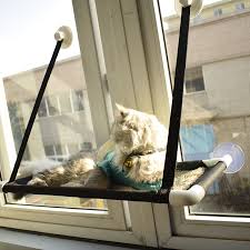 Guclu Macun Cam Pencere Kedi Hamak Yikanabilir Kedi Yatak Tek Veya Cift Katmanli Rahat Pet Asili Pencere Kedi Asili Mat Ev Kedi Yatak Ve Paspaslari Aliexpress