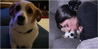 Free marie dee porn i was seeking a bodywork and my regular