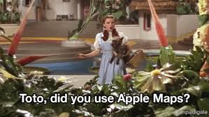 We regularly add new gif animations about and. The Wizard Of Oz Gif Movie Fanatic