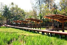 Ada pulau, taman, pantai dan juga tempat shopping selain lokasi pasar malam. 21 Tempat Makan Best Di Langkawi Listikel Com