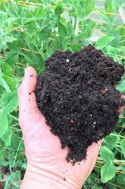 Can i use peat moss in my vegetable garden. Peat Moss What It Is How To Use It In Your Garden Gardening Chores