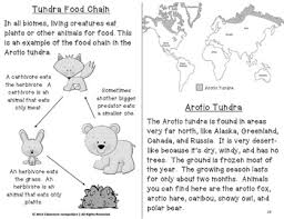 Tundra Biome Habitat Science Pack Worksheets Vocabulary Chart Foldables