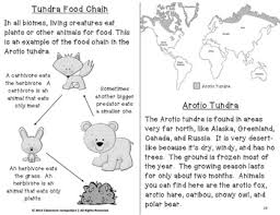 tundra biome habitat science pack worksheets vocabulary chart foldables