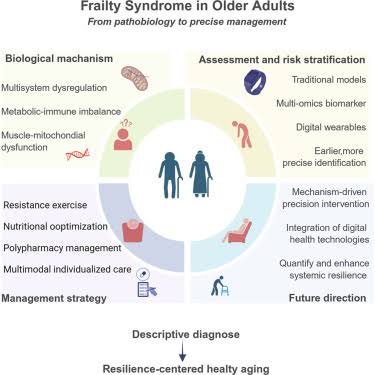 Frailty syndrome in older adults: Research advances and management  strategies - ScienceDirect