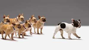 Image result for photos of you