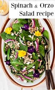 Spinach Orzo Salad Recipe For A Dinner Party Menu Recipe Side Dish Recipes Easy Balsamic Vinaigrette Recipe Vinaigrette Recipes