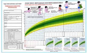 Kms Kartu Menuju Sehat Apa Fungsinya Dan Bagaimana Membacanya