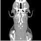 Practical Neurology Made Simple event image
