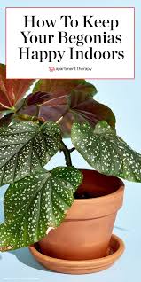 Pin On Plant Filled Homes