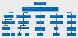 Rationale Diagnostik Und Therapie Der Anamie Springerlink