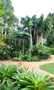 Cairns Botanic Gardens Aktuelle 2020 Lohnt Es Sich Mit Fotos