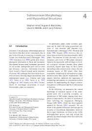 Image result for Exochaenium oliganthum