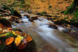 To summarize, creek is the standard spelling for professional writing. Definitions Of Rivers Stream Brooks Creeks And Other Terms World Rivers