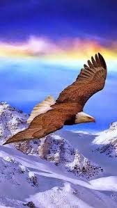 Nature Beauty Travel Adventure Vacation Holiday Travelphotography Tour Tourism Flight Easyjet Trips Overseastra Vahsi Hayvanlar Resimler Vahsi Yasam