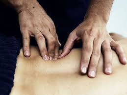 Image result for Musculoskeletal Manipulation