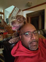 Turbo is really bad at hide & seek...