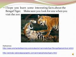 These herding animals were domesticated thousands of years ago in the andes mountains of western south america. Tiger Dashaun Warren B Ppt Download