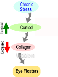 Adrenal Fatigue Vision Problems Adrenal Fatigue Chronic Stress Vision Problems
