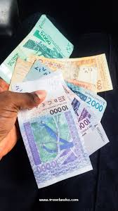 1 naira = 100 kobo. Understanding The Republic Of Benin Currency The Cefa Travelwaka