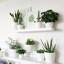 Learn how to display your indoor plants, from arranging them in hanging planters and terrariums to 8 fabulous ways to arrange indoor plants. 47 Beautiful Indoor Plants Design For Your Interior Home Plant Decor Indoor Indoor Plant Wall Plant Decor