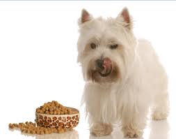 top westie food recommendations simply for dogs