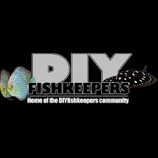 Today the king of diy updates on his 700 gallon asian arowana and stingray aquarium. Diy Fish Keepers Photos Facebook
