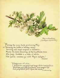 Pin By Brenda Skt On Cosy Cottage In The Woods Edith Holden Country Diary Of An Edwardian Lady Hedgerow