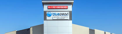 Expert recommended top 3 veterinary clinics in norman, oklahoma. Bluepearl Pet Hospital Oklahoma City Ok Emergency Vet