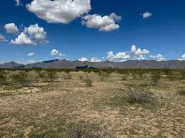 13216 S 175 Drive, Goodyear, AZ 85338