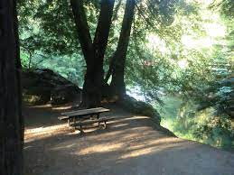 Maybe you would like to learn more about one of these? Big Sur Campground Cabins Big Sur Ca California Beaches