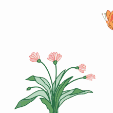 ¡feliz día de la mujer! Feliz Dia De La Mujer Gifs Tenor