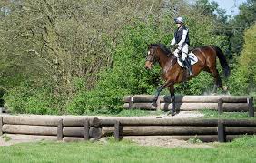 Maybe you would like to learn more about one of these? 3 Tips To Successfully Negotiate Steps On A Cross Country Course Horse Hound