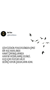 Botan Emir Ekin Adli Kullanicinin Guzelllll Panosundaki Pin 2020 Ilham Verici Sozler Guzel Soz Pozitif Sozler