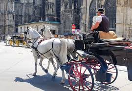 Ovde nema mesta za politiku! In A Fiaker Across The Streets Of Vienna Travel Potpourri