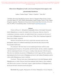 Image result for Flabellariopsis acuminata