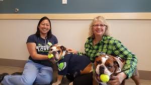 504 renton center way sw #3 98057 renton united states. About Our Renton Kirkland Veterinary Practice