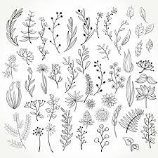 Set Of 50 Doodle Botanical Elements Png Doodle Floral Clipart Svg Doodle Floral Hand Drawn Botanical Clipart Botanical Doodle Set Floral Drawing Flower Doodles Flower Drawing On this page, you can find and download free flower vectors for your design flashlight.