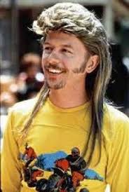 The Mullet Hair Style A Dangerous Sign Of Personal Freedom Mullet Hairstyle Joe Dirt Gents Hair Style