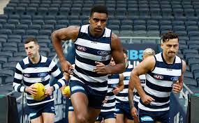 The club competes in the australian football league (afl). Barrett Cats Big Riddle North S Future Enters Disaster Zone