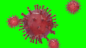 Green Screen Virus 3d Free Corona Virus Footage Animation Covid 19 Youtube