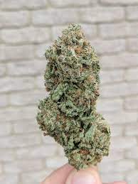 Inhaltsverzeichnis a b c d e f g h i j k l m n o p q r s t u v w x . Monster Cookies Weed