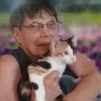 Death Notice and Obituary for Susan Ruth Baehr Glasscock 2024 of Gladys , VA