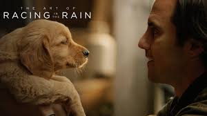 The Art of Racing in the Rain